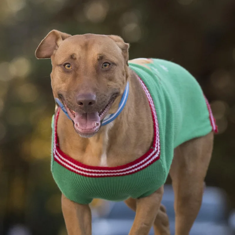 Mary Martin thumbnail 2