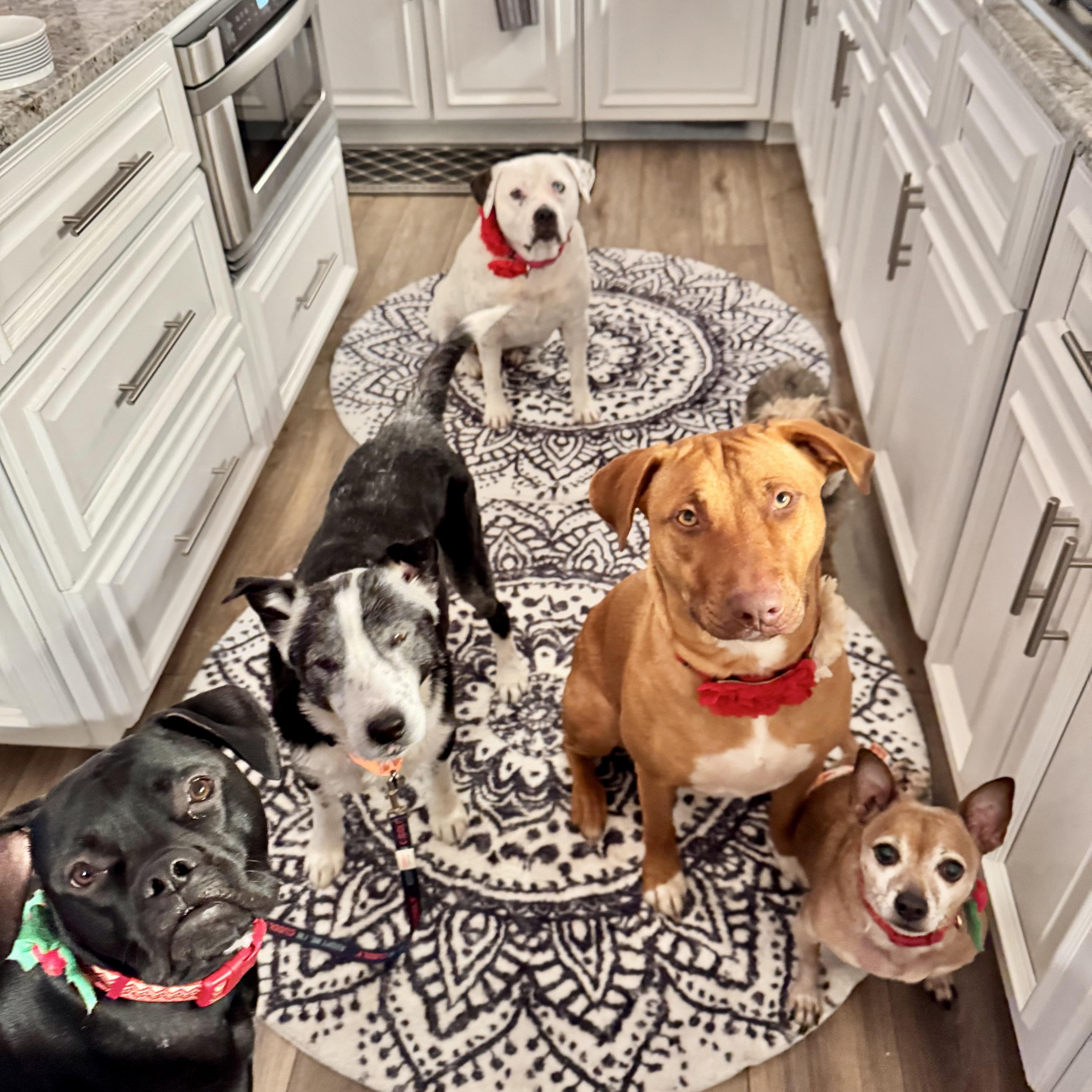 Mary Martin thumbnail 4