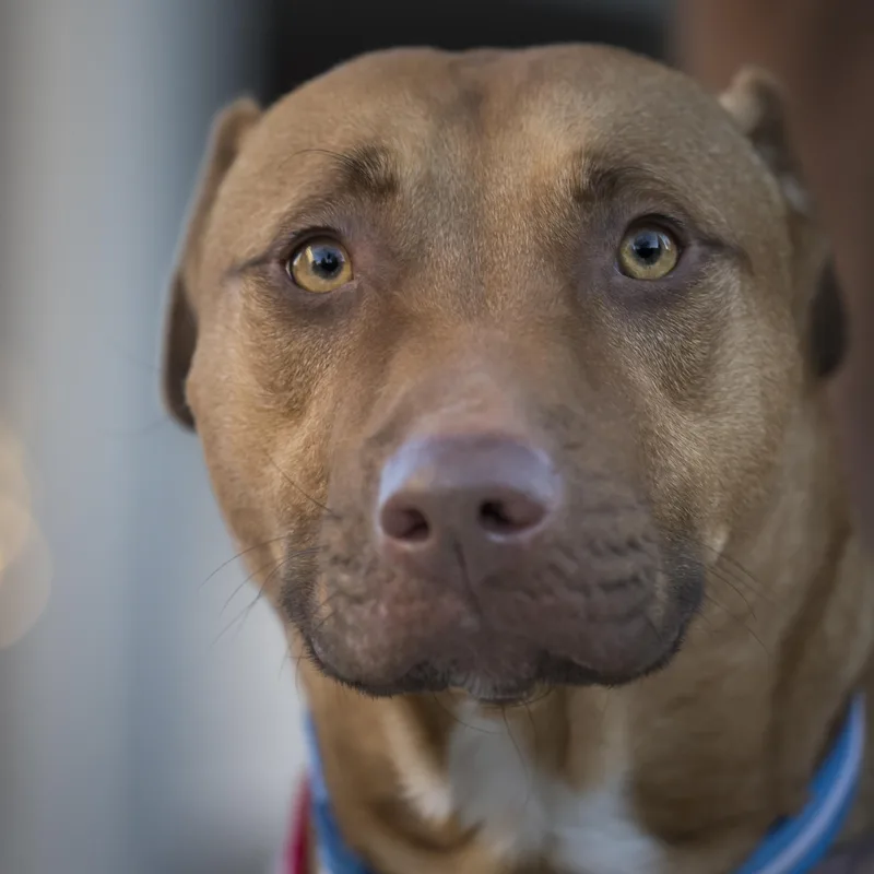 Mary Martin thumbnail 5