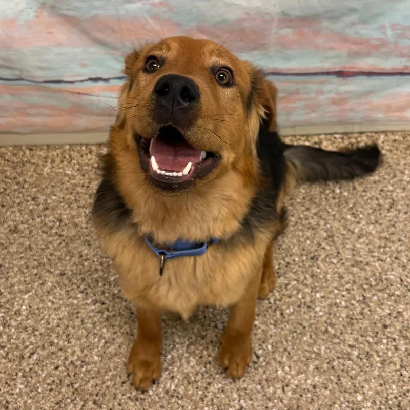 Milo