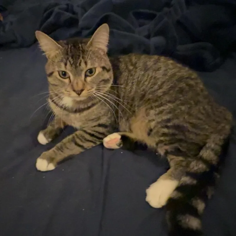 Evan
