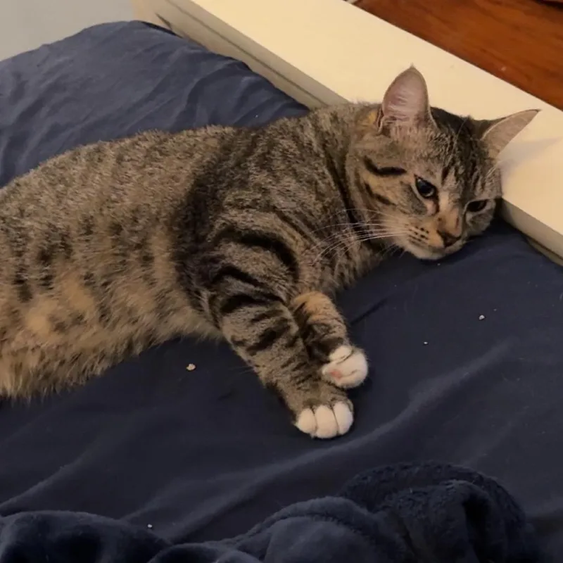 Evan thumbnail 2