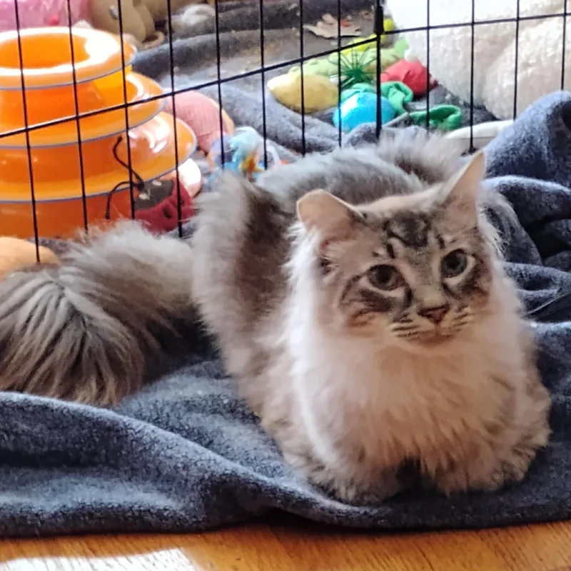 Milo
