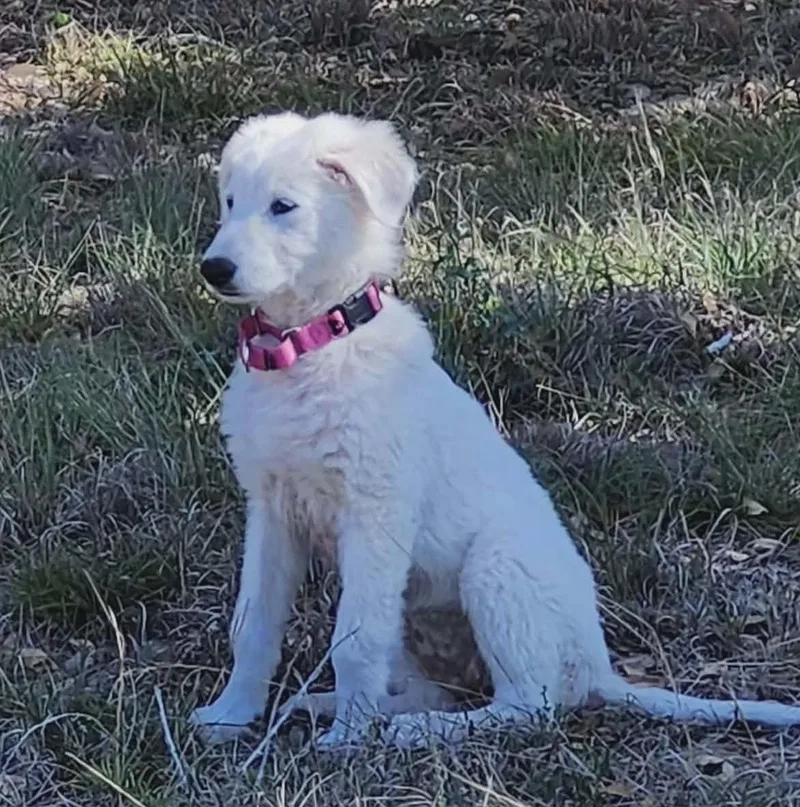 Maisy thumbnail 5