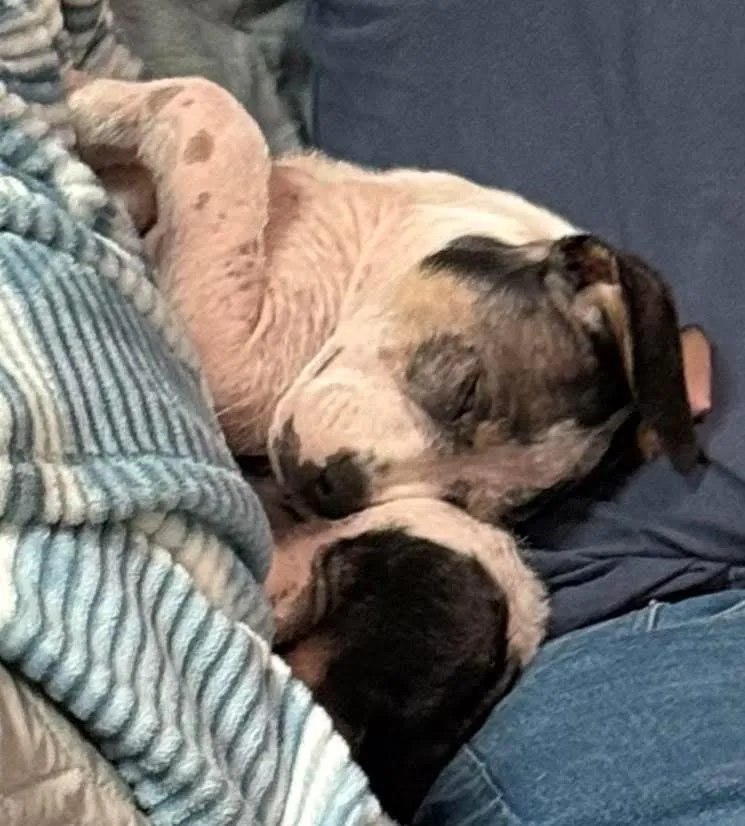 Lola thumbnail 6