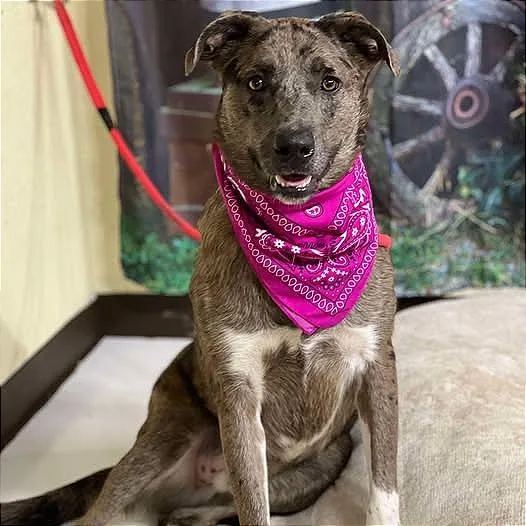 Chase "cash" thumbnail 2