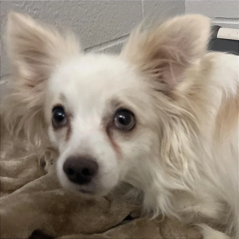 Tuffy thumbnail 2