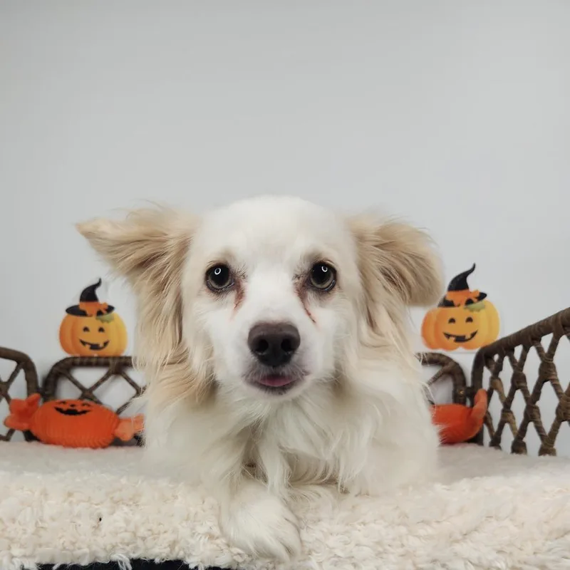 Tuffy thumbnail 4