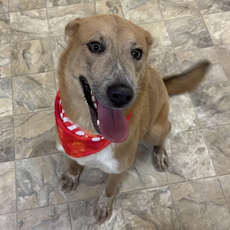 Jk Growling thumbnail 2