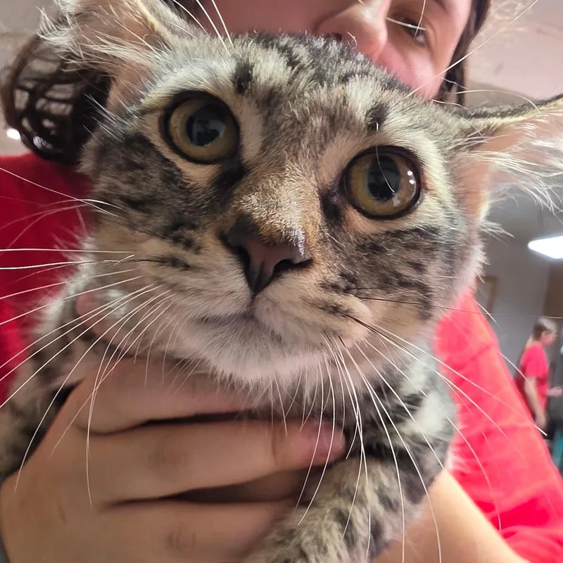 Precious
