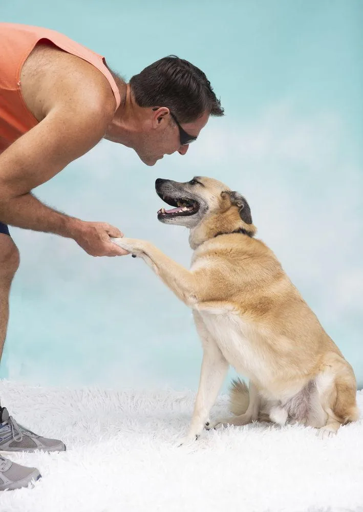 Sarge  Â Tennis thumbnail 2