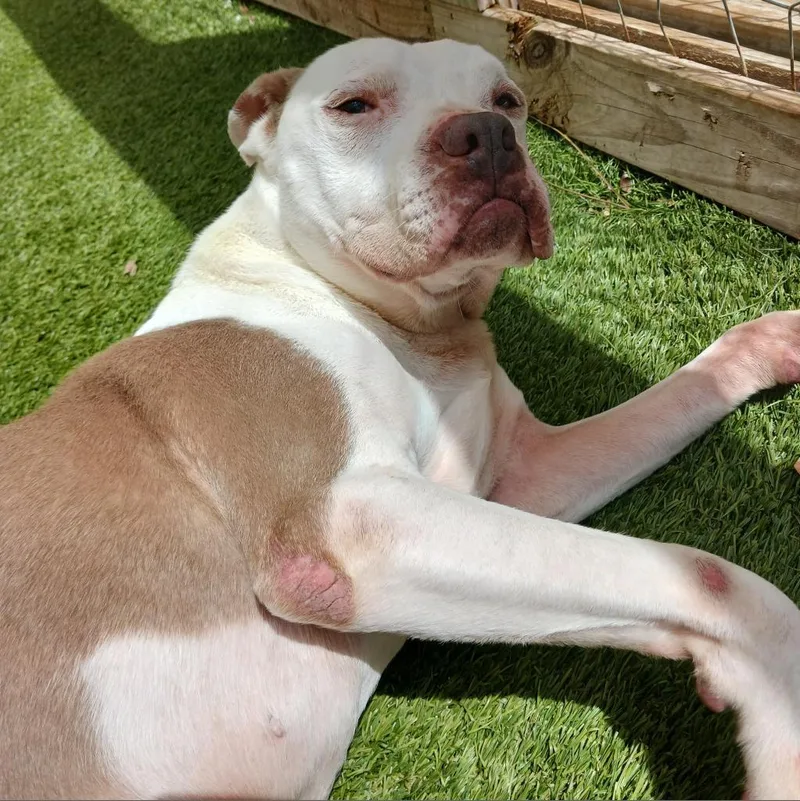 Corey  Aka Cooper thumbnail 2