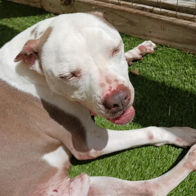 Corey  Aka Cooper thumbnail 3