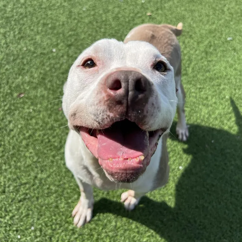 Corey  Aka Cooper thumbnail 4