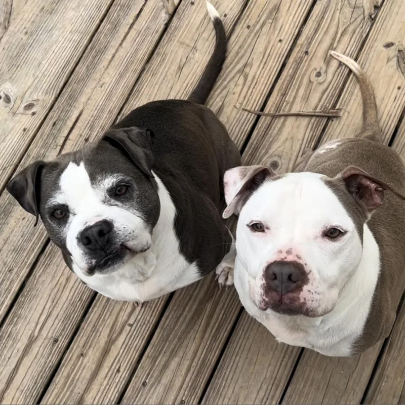 Corey  Aka Cooper thumbnail 5