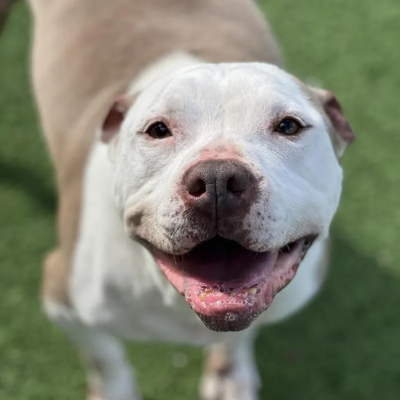 Corey  Aka Cooper thumbnail 6