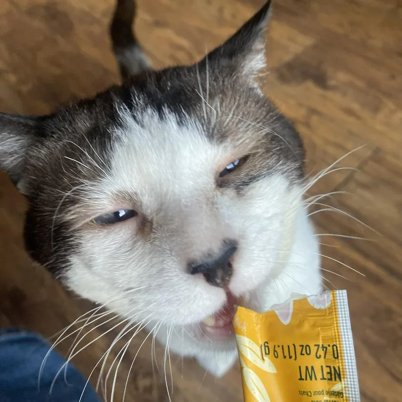 Peppino thumbnail 4