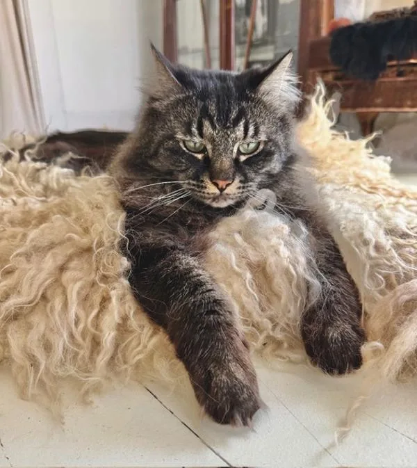 Smokey