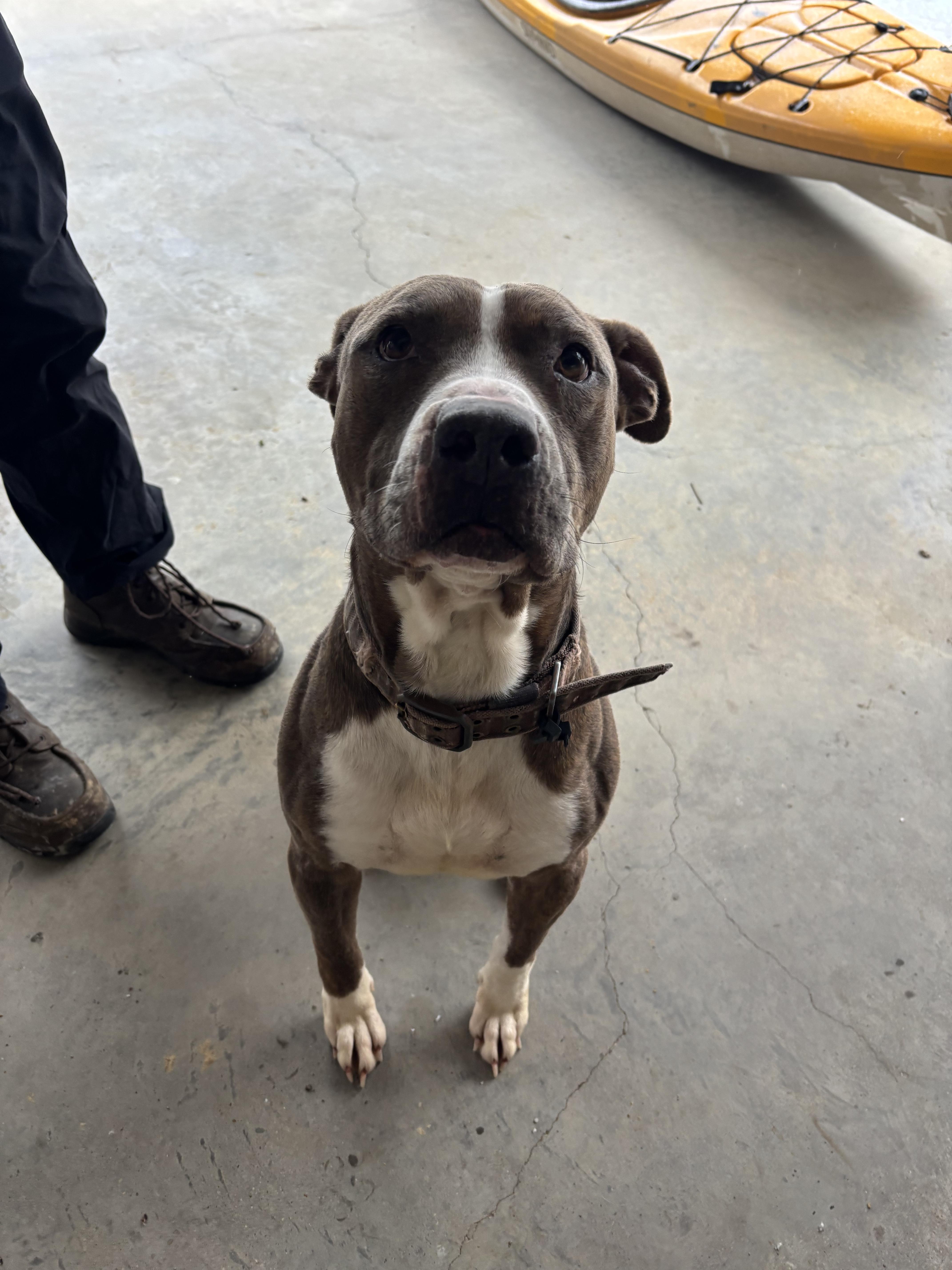 Soda Pop thumbnail 2