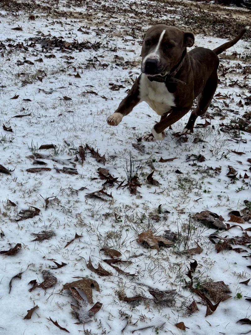 Soda Pop thumbnail 3