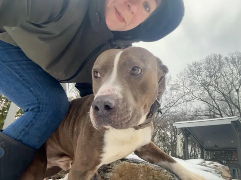 Soda Pop thumbnail 4