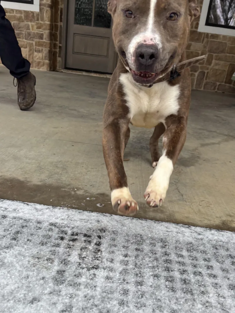 Soda Pop thumbnail 5