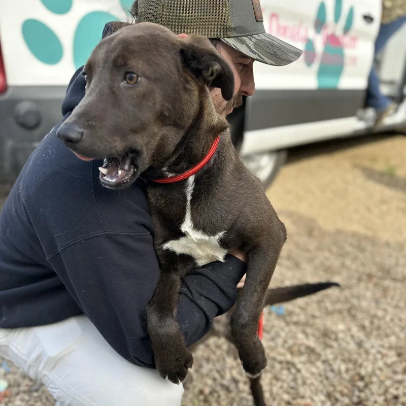 Bill Board thumbnail 4