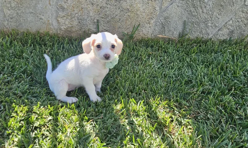 Linda thumbnail 2