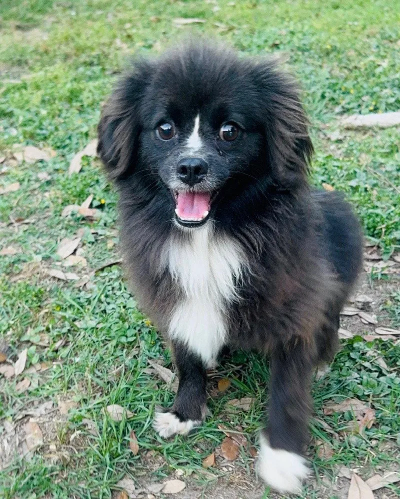 Precious