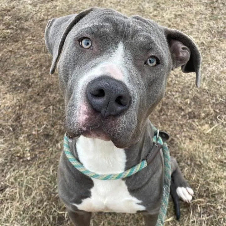 Grayson ~ Coming Soon!!!