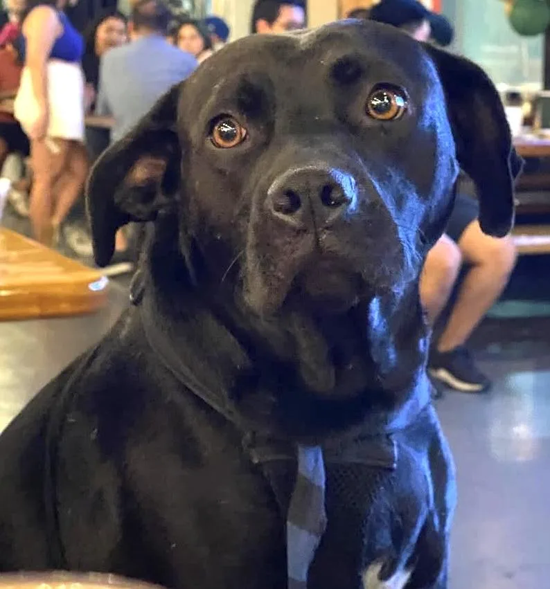 Hi  I'm Mister thumbnail 3