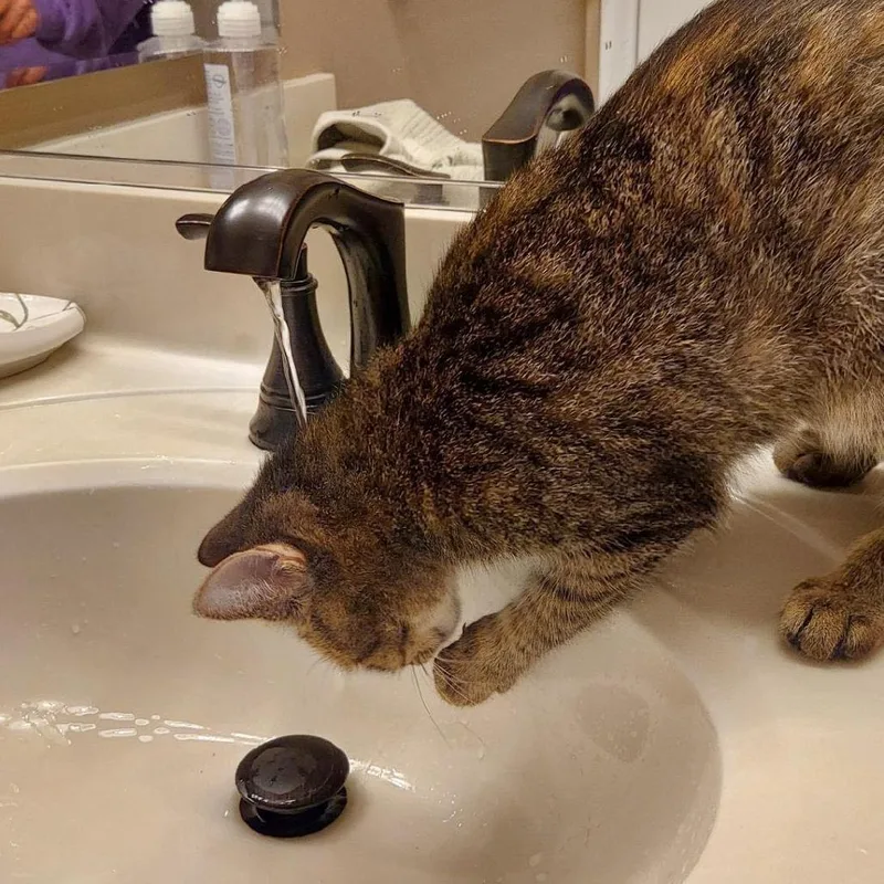 Confetti thumbnail 3