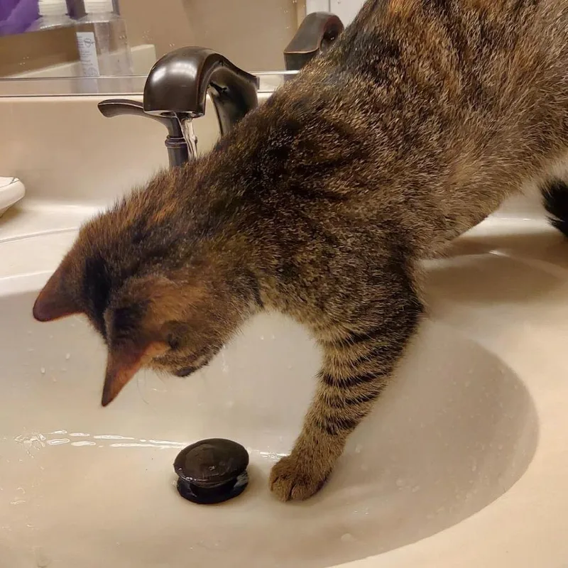 Confetti thumbnail 5