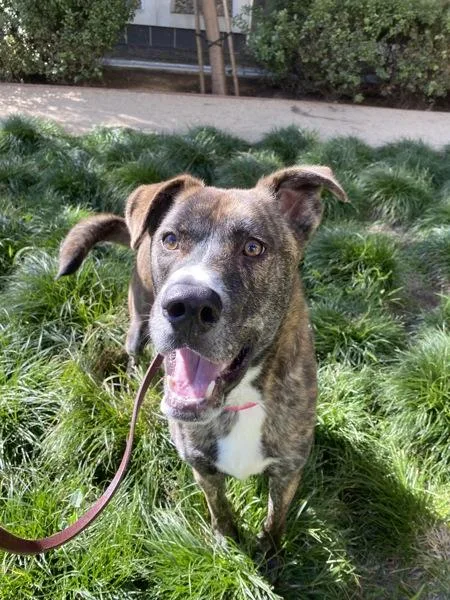 Rocket Man thumbnail 2