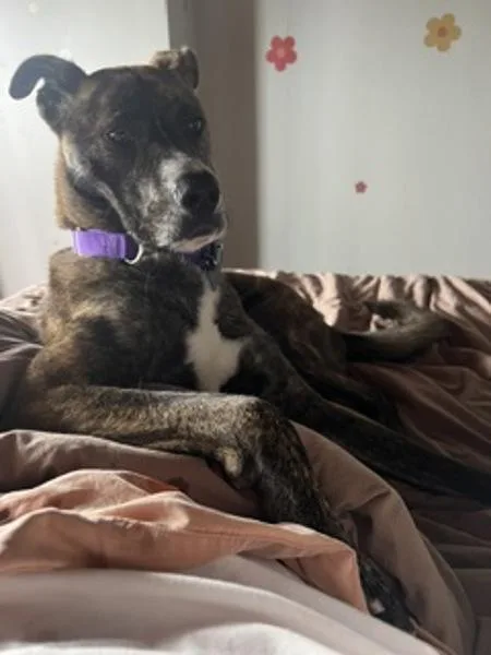 Rocket Man thumbnail 4