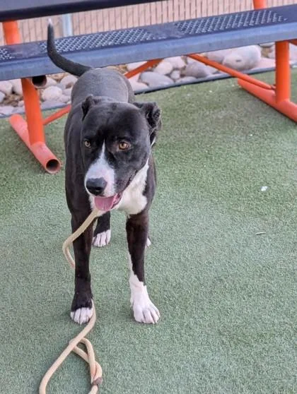 Twilight thumbnail 2