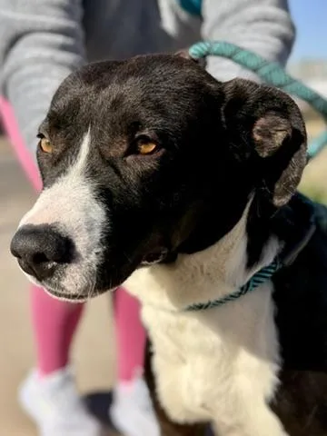 Twilight thumbnail 3