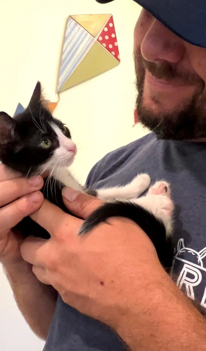 Frito thumbnail 5