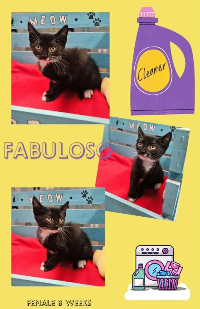 Fabuloso