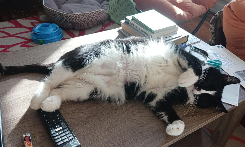 Marietta B.  Sassy thumbnail 4