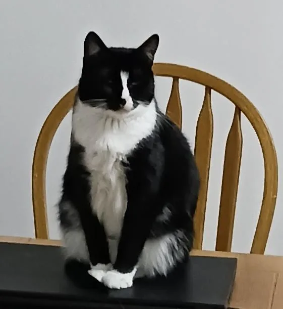 Marietta B.  Sassy thumbnail 5