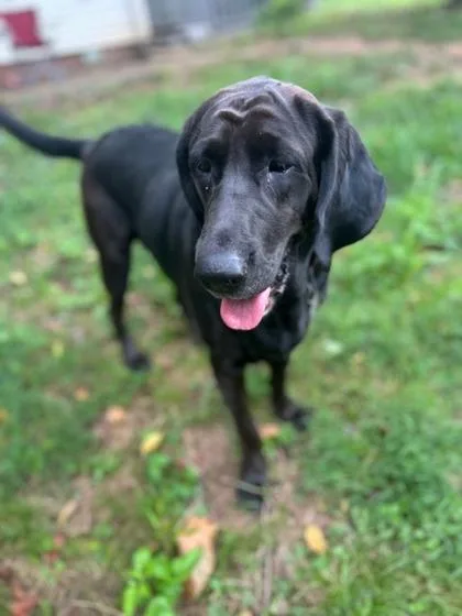 Maggie Mae thumbnail 2