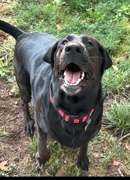 Maggie Mae thumbnail 3