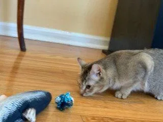 Lindseydc thumbnail 2