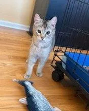 Lindseydc thumbnail 3