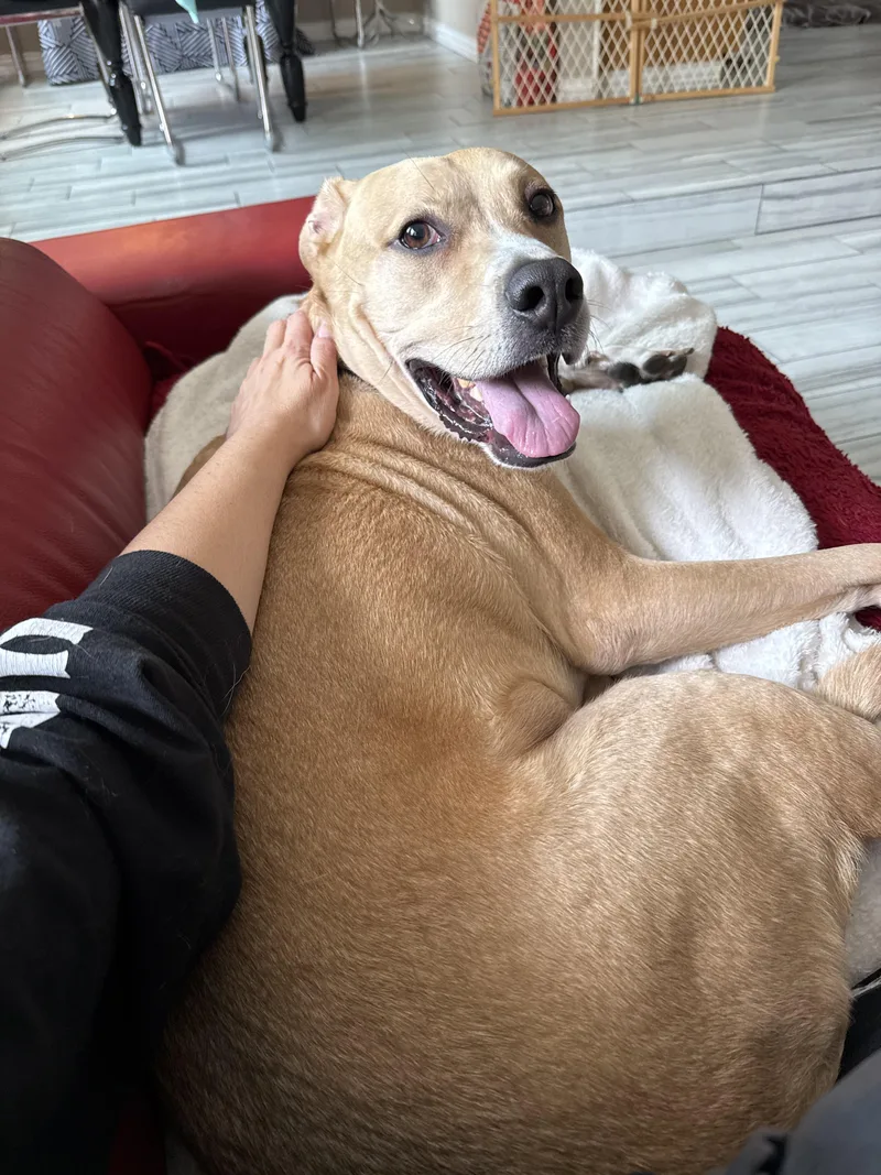 Mello Gdp thumbnail 2