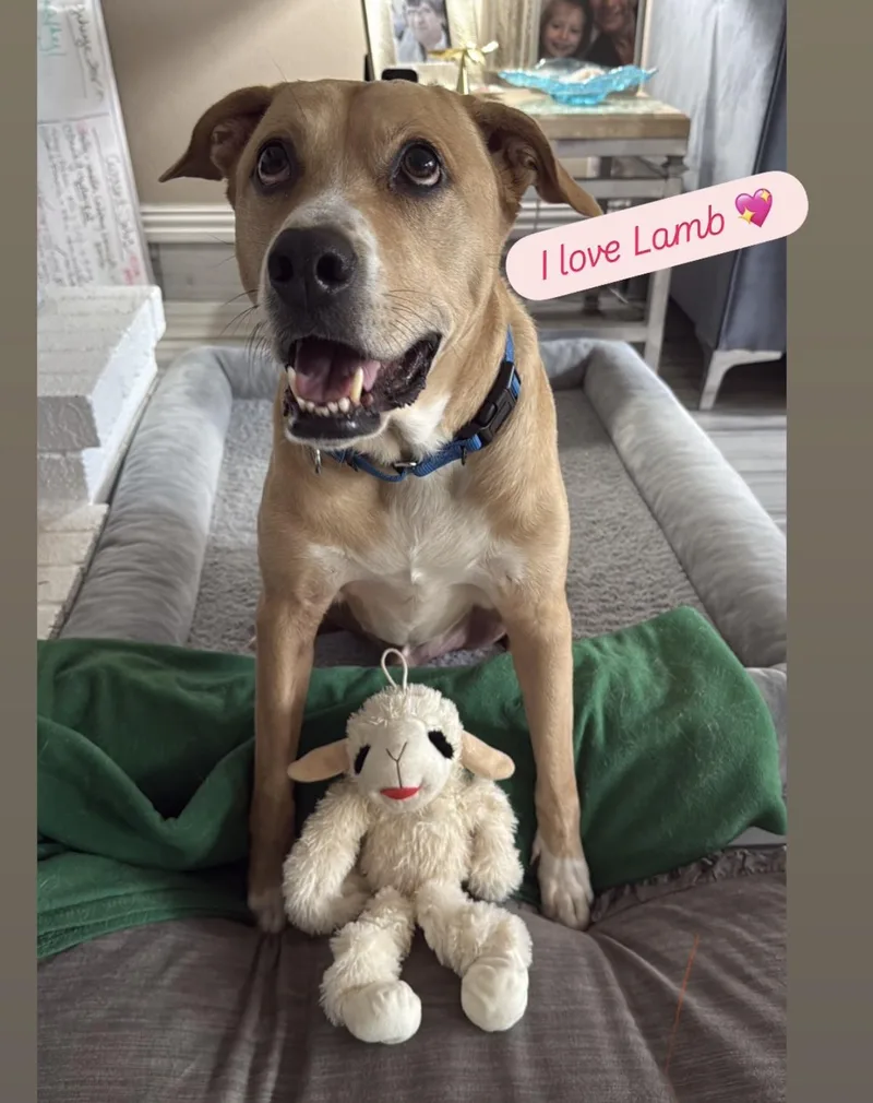 Mello Gdp thumbnail 3