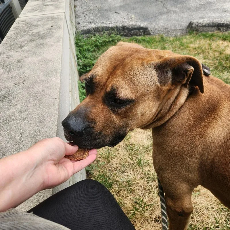 Fitzwilliam thumbnail 6