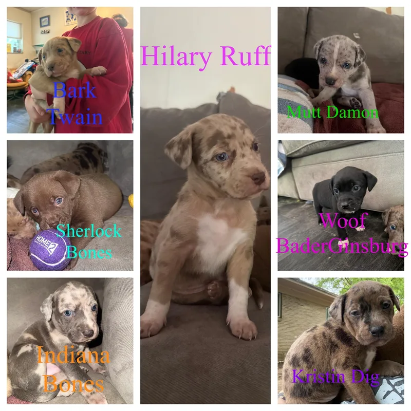 Hillary Ruff thumbnail 4