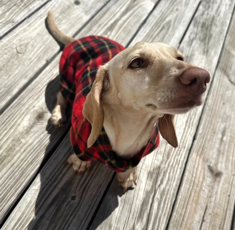 Luna in KY thumbnail 5